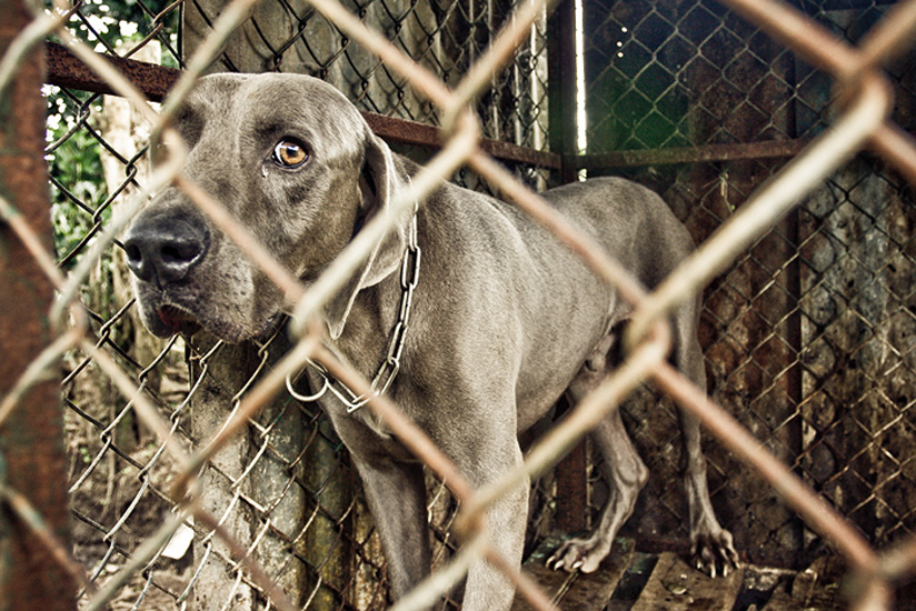 Biel Grimalt - PERSONAL - EL SALVADOR
